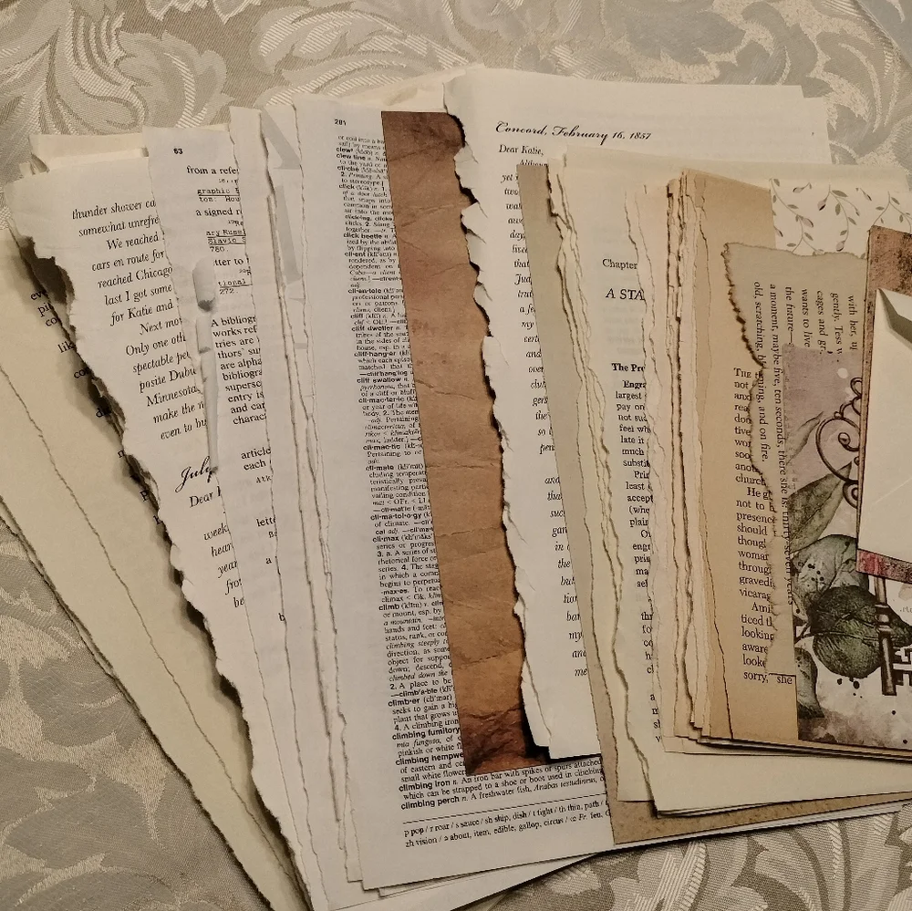 ⚜️ Vintage Book Page Ephemara Bundle - Picture 3 of 5